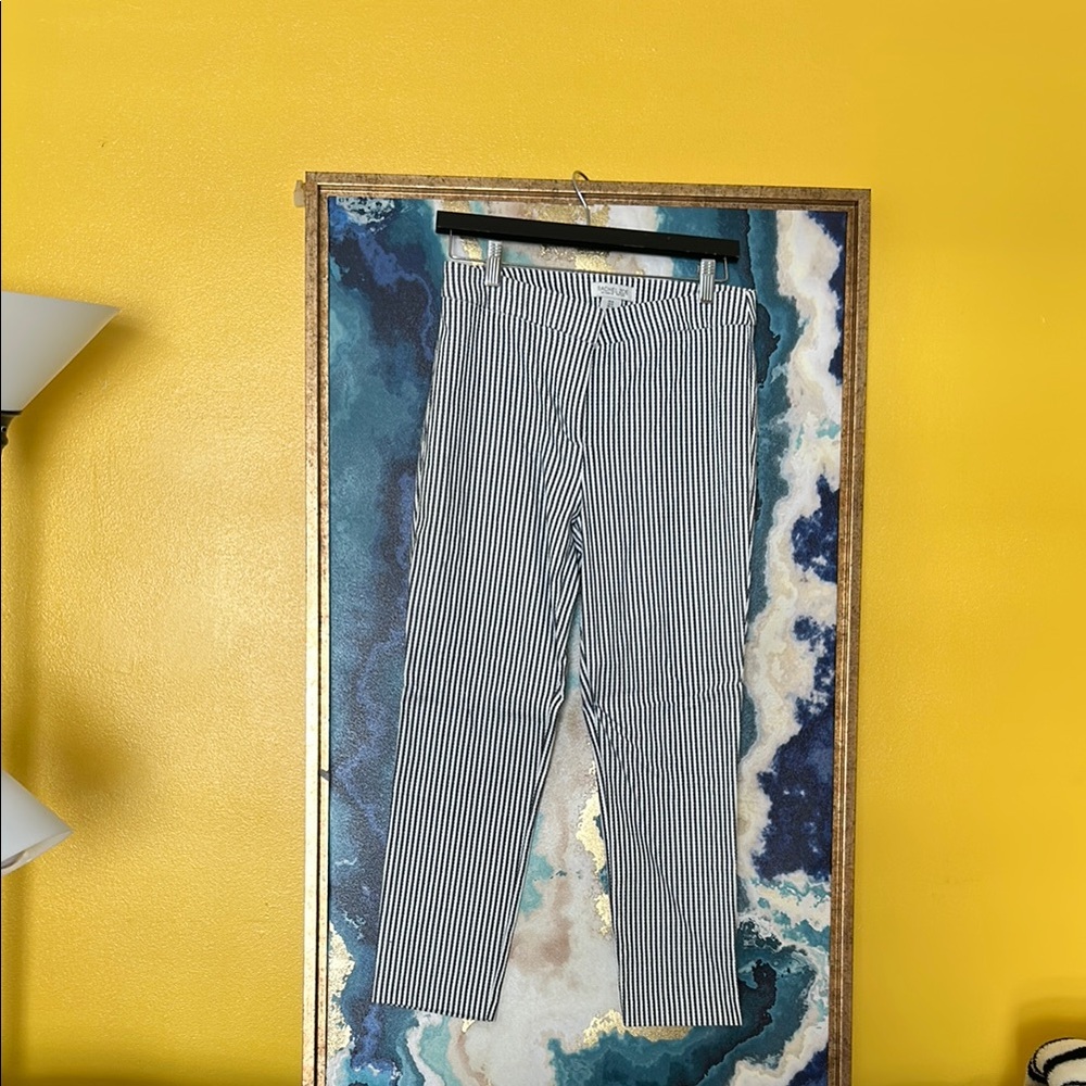 Rachel Zoe Striped Navy Blue and White Ankle Pants - Picture 2 of 8